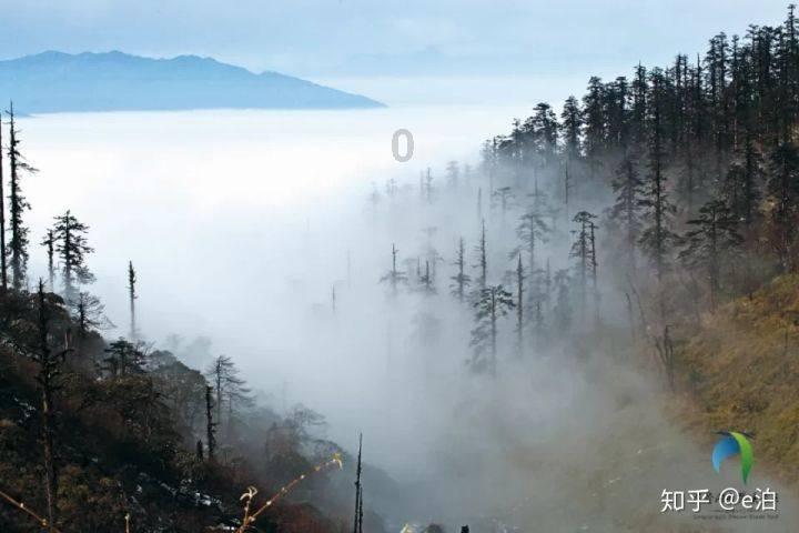 波音又一机型现重大事故,飞机起跑途中轮胎突然脱落,马斯克表示震惊